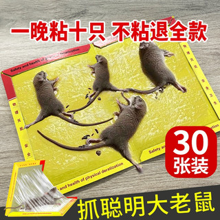 胶水老鼠粘强力粘鼠板胶粘大老鼠贴超强家用一窝端黏鼠板