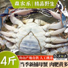 森农乐 梭子蟹 3-4两/只