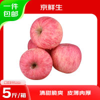 京鲜生 山东烟台红富士苹果 净重5斤 果径75mm 新鲜水果 源头直发