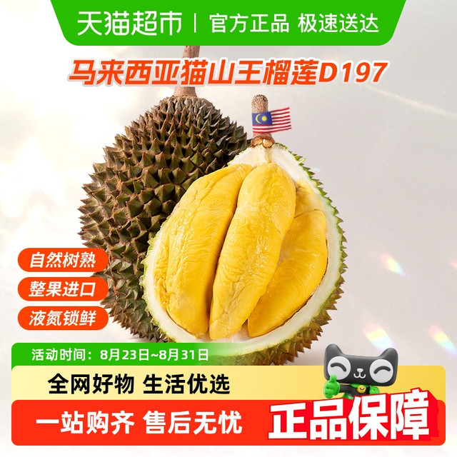 王上榴 猫山王榴莲1.5-2斤