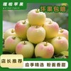 无品牌 山西运城 黄嘎啦苹果 65mm-70mm 5斤