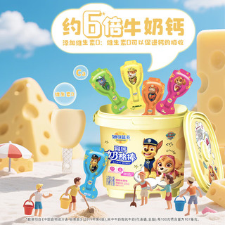 妙可蓝多 汪汪队儿童 奶酪棒桶装混合水果味432g常温 高钙营养 【缤纷桶装】汪汪队奶酪棒432g