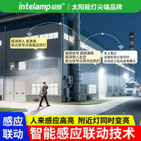 颖朗太阳能照明灯户外光控感应家用庭院室外投光灯光控