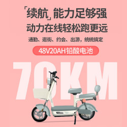 宝岛电动车 BODO 宝岛电动自行车柠檬48V20Ah超威铅酸电池续航70km简易大踏板麦芽咖