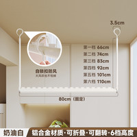 名至 WISE 政府补贴包安装阳台双层晾衣杆固定式墙上晾衣架吊杆顶装家用悬挂