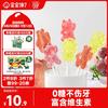 宝宝馋了 无糖棒棒糖混合口味32gmini卡通儿童零食送婴儿宝宝辅食谱 无糖迷你棒棒糖（混合口味）