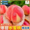 嵋岭林翔 水蜜桃毛桃大桃子 5斤 新鲜现摘