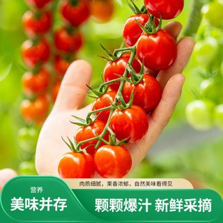 京鲜生 串收樱桃小番茄 2斤礼盒装