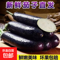 京喜加 山东新鲜绿把紫皮长茄 新鲜绿把紫茄 2斤