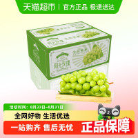 今日必买：蚝中