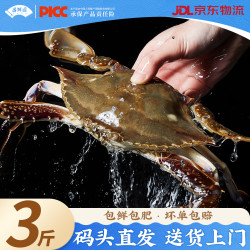 昌鲜园 冷冻 昌鲜园舟山梭子蟹鲜活冷冻3-5两/只 3斤装 25年新蟹源头直发包邮