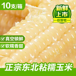 萄鲜客 玉米 白糯玉米220-240g*10棒