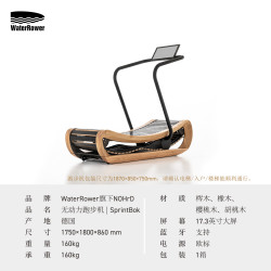 WaterRower 沃特罗伦 德国进口家用室内减肥运动健身器材无动力跑步机