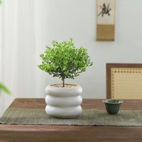 佰花锦小叶赤楠带花盆植物办公室内四季常青客厅绿植盆栽茶台桌面摆件 小叶赤楠+甜甜圈树脂盆+黄沙 10-20cm