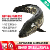 品鲜肴 野外捕获生态黑鱼 400g/条