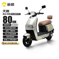 金箭 电动摩托车天路 60V20A铅酸电池 800W大动力 26L大容量 浅米金