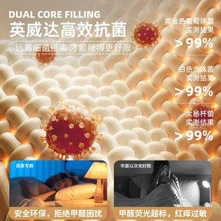 南极人抗压乳胶床垫1.8x2米可折叠席梦思记忆棉加厚软垫宿舍单人榻榻米 条纹格-白【厚约8cm】零压深睡 90*190cm【泰国乳胶 拒绝塌陷】