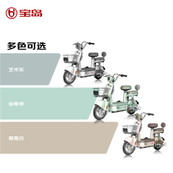 宝岛电动车 BODO 自行车元宇宙48V20Ah超威铅酸电池续航70km蓝牙智能解锁仙草绿 仙草绿 48v20Ah纯电40-75km