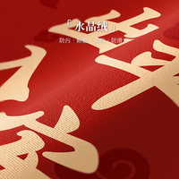 入户门地垫2025新年地垫新款入户门垫防滑耐脏进门脚垫地毯入户门