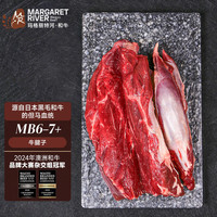 MR 玛格丽特河 澳洲和牛MB6-7+牛腱子 2斤 生鲜牛肉 炖煮火锅 烤肉烧烤