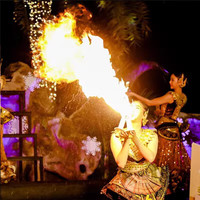 泰趣旅行 清迈夜间动物园大门票酒店接送可选园区游览车 门票+接送15点接 儿童