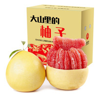 食九月 土八鲜福建琯溪蜜柚平和红心 4.5-5斤精选果（2-3个装）