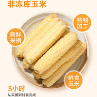 傣萨金谷 云南特产馆 云南西双版纳拇指玉米香糯小玉米宝宝早餐孕妇代餐 拇指玉米300克