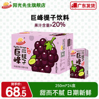 阳光先生 MR.SUNSHINE 巨峰提子汁250ml*24盒