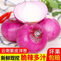 中鲜生 云南紫皮洋葱 5斤装