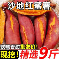 鲜彤 河南黄心番薯 3斤 小果 1-3两