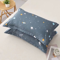 麦琪娜 MAGINA 麦琪娜 枕头枕芯 40*60cm 350g 2只 枕套随机发