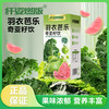 纤姿燃版羽衣芭乐奇亚籽饮羽衣甘蓝汁独立包30ml*6袋*2盒