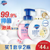 Safeguard 舒肤佳 泡沫抑菌洗手液300克X2 (山茶+樱花)