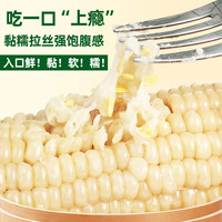 忆亩农甜白糯玉米即食东北新鲜低脂软糯香甜拉丝东北粘苞米真空装
