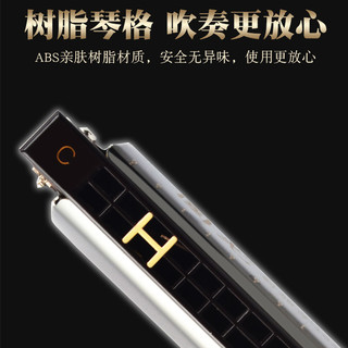 国光口琴24孔复音C调初学者入门儿童成人小专业自学演奏