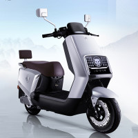 五星钻豹 NX 电动摩托车 ZB1200DT-46A 银川蓝