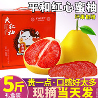 铂果 正宗 平和红心蜜柚5斤礼盒装当季新鲜水果现摘红肉葡萄甜柚子大果