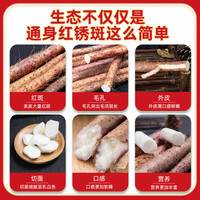 温县红皮乌鸡土铁棍山药河南焦作怀山药新鲜铁杆淮山特产5斤