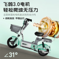 移动端、京东百亿补贴：飞鸽 FG FLYING PIGEON 电动自行车 清新绿 旗舰正品 售后无忧 车架款