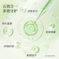 南堡深层洁净香水洗衣液男士持久留香护色洁净实惠装整箱批家用 【阳光橙香】99.9%除菌洗衣液