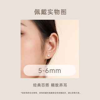 有幸珍珠耳钉 S925银淡水无核珍珠耳钉5-6mm耳饰 S925银5-6mm【小巧精致】