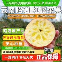 88VIP：云谷造 云南昭通红露苹果 4.5斤 12-13枚