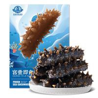 宫壹 大连即食海参 1斤 26-38只 底播刺参 鲜活加工 免泡发 小海参 即食海参500g  26-38只