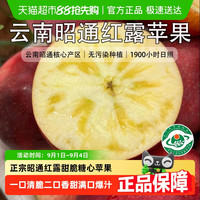 88VIP：云谷造 云南昭通红露苹果 4.5斤