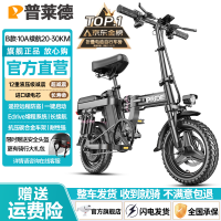 普莱德 RS6 电动自行车 48V8Ah锂电池 银黑色