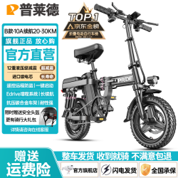 普莱德 RS6 电动自行车 48V8Ah锂电池 银黑色