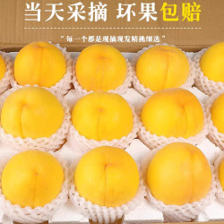 黄金蜜黄桃 精选5斤净重4.5斤