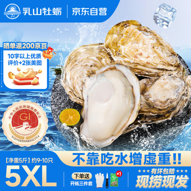 乳山牡蛎 鲜活乳山生蚝5XL 净重5斤 9-10只 生鲜海鲜 源头直发 中秋聚餐