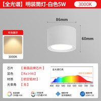 至御 明装筒灯客厅玄关过道灯北欧吸顶式免开孔嵌入式天花灯010