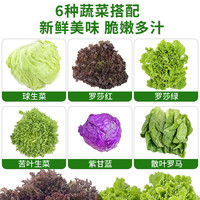 绿食者 新鲜蔬菜沙拉组合 4斤
